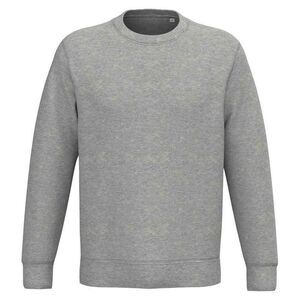 Native Spirit Unisex Adult Crew Neck Sweatshirt / Moon Grey Heather